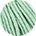 The Cotton Mint