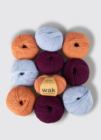 Pack di  10 gomitoli di Baby Alpaca