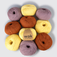 Pack di 10 gomitoli di Meripaca Yarn