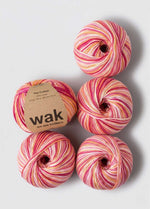 Pack di 5 gomitoli Cotone 