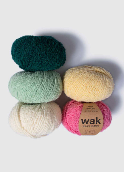 Pack di 5 gomitoli di Boucle Cloud Yarn