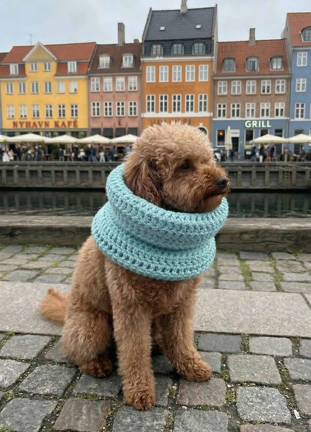 Rex Snood Kit per animali – Versione Yummy