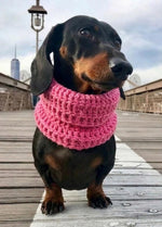 Rex Snood Kit per animali – Versione Yummy