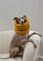 Rex Snood Kit per animali – Versione Yummy