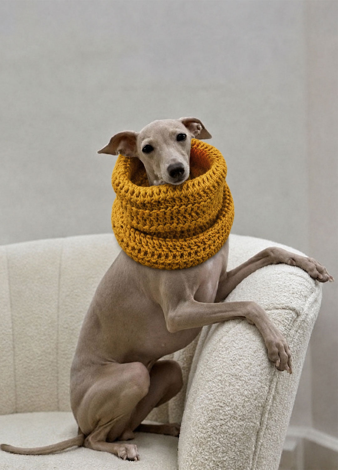 Rex Snood Kit per animali – Versione Yummy