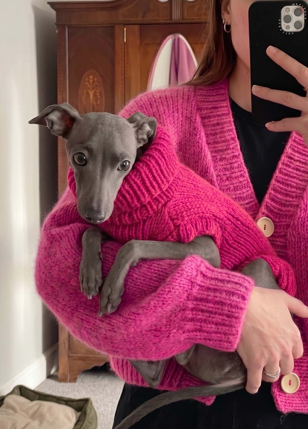 Scooby Sweater Kit per animali – Versione Yummy