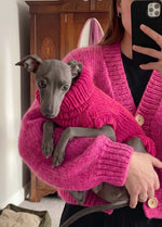 Scooby Sweater Kit per animali – Versione Yummy