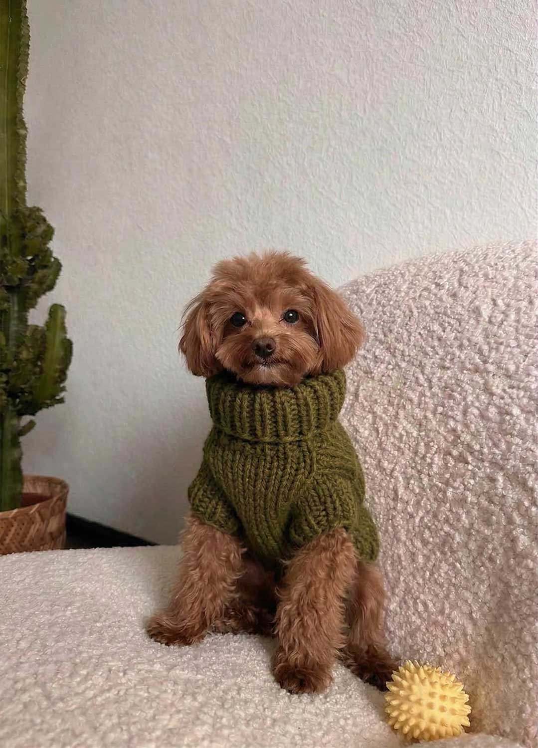 Scooby Sweater Kit per animali – Versione Yummy