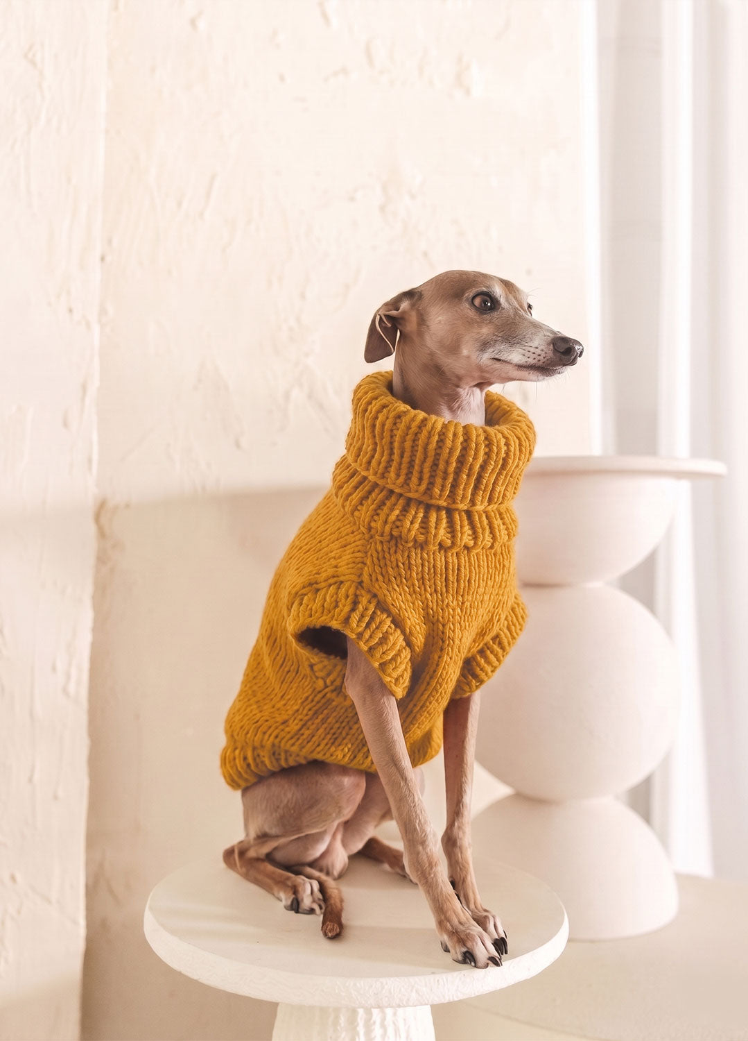 Scooby Sweater Kit per animali – Versione Yummy