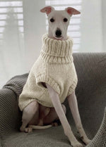 Scooby Sweater Kit per animali – Versione Yummy