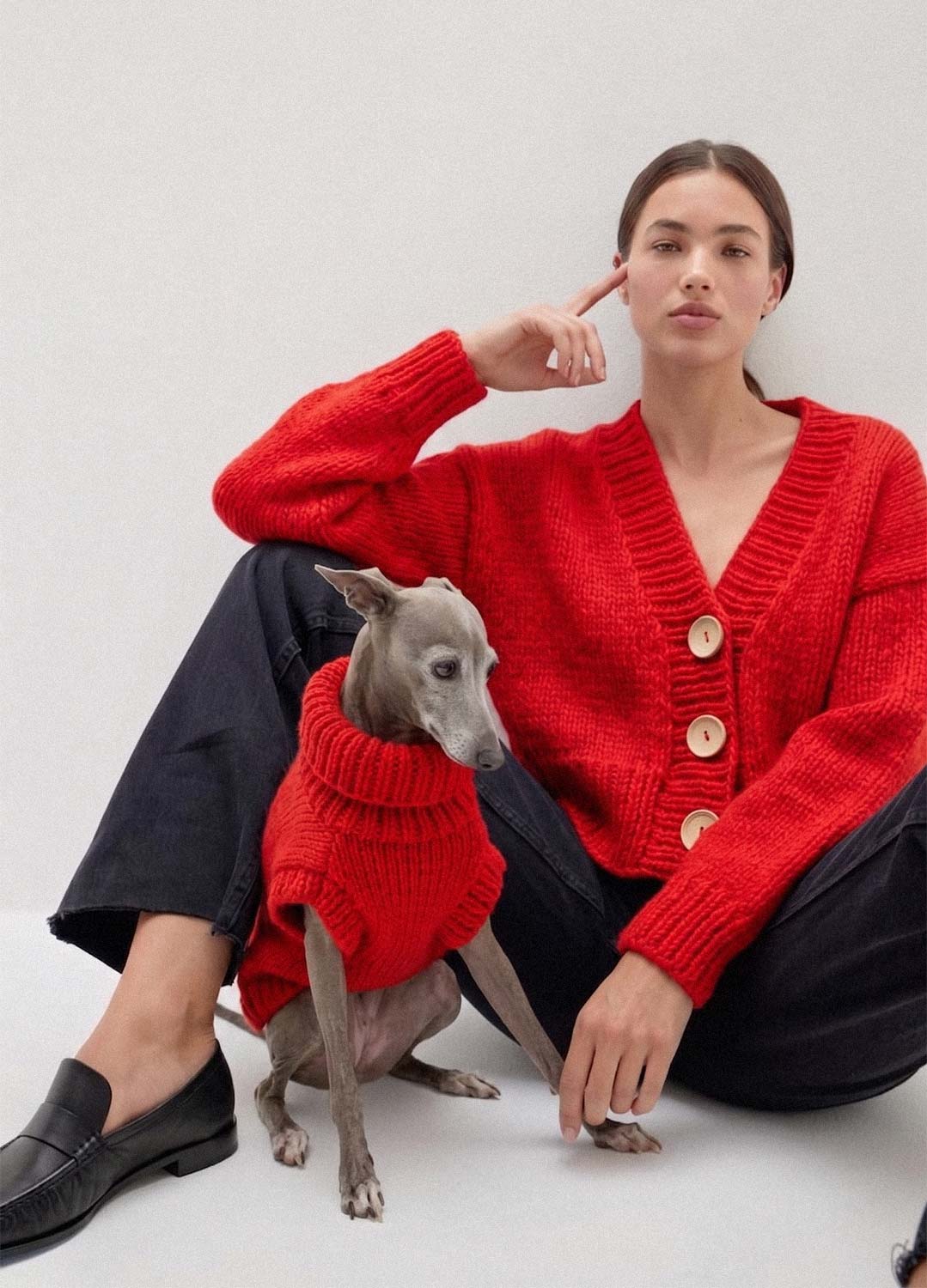 Scooby Sweater Kit per animali – Versione Yummy